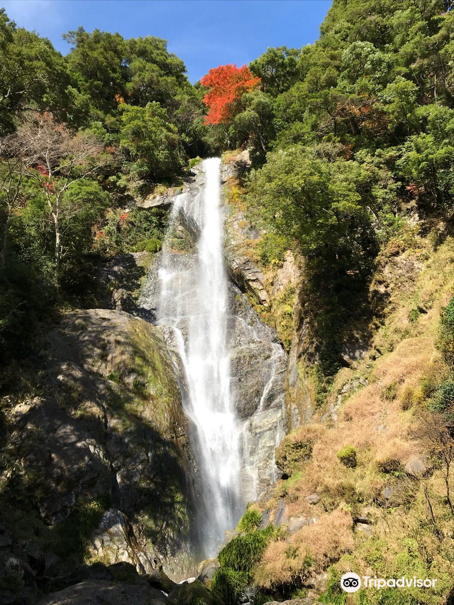 🏞️ 센단토도로 폭포(栴壇轟の滝)